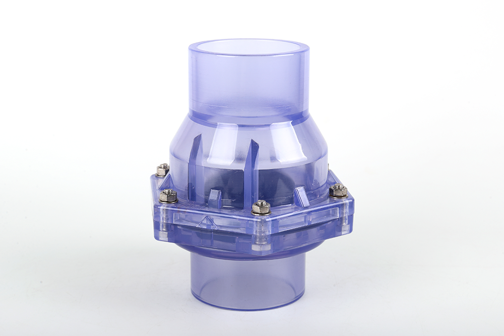 深州透明翻板式止回阀